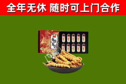 峨边回收冬虫夏草价格